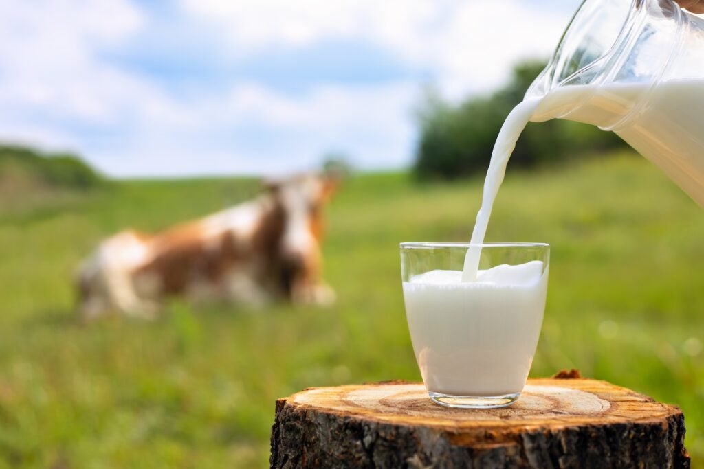 Melk