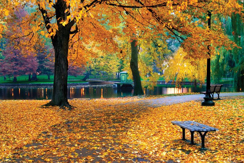 Herfst