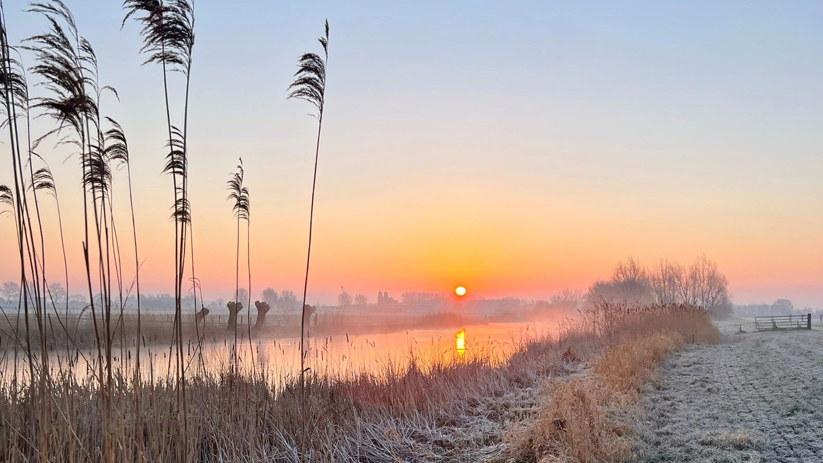 Ochtend