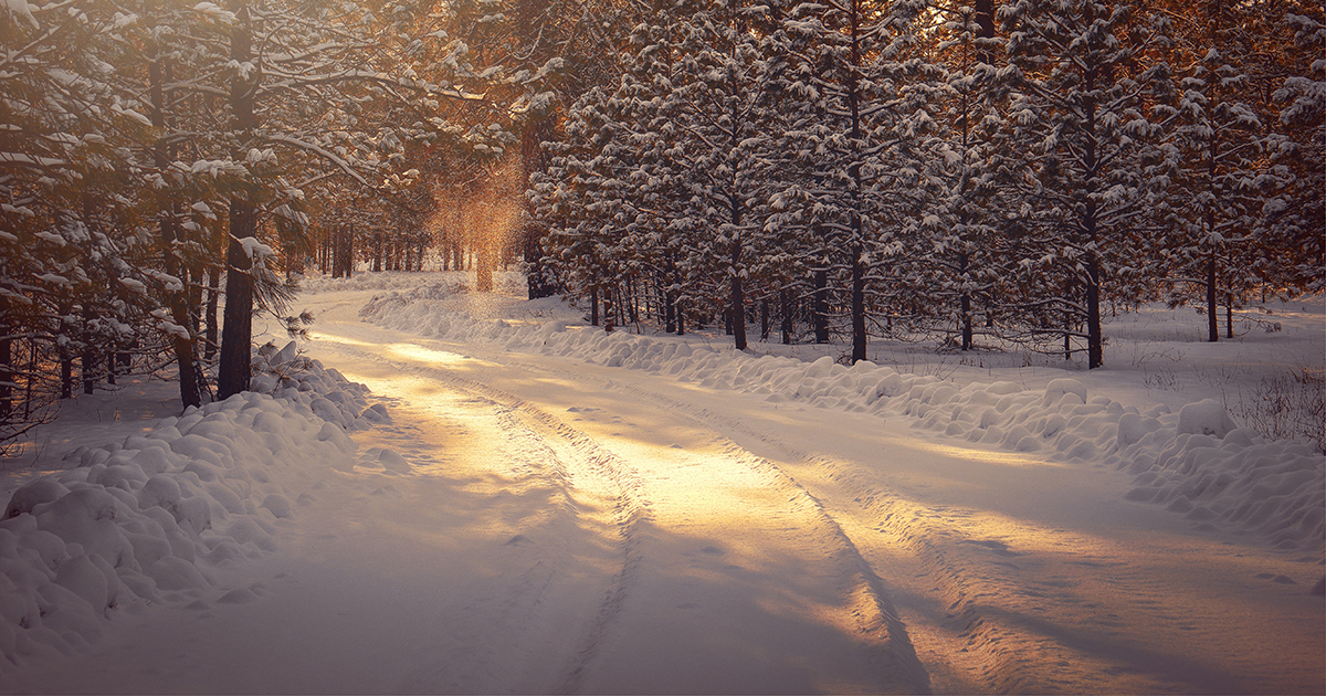 Winter
